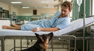 A Hospital Far, Far Away…